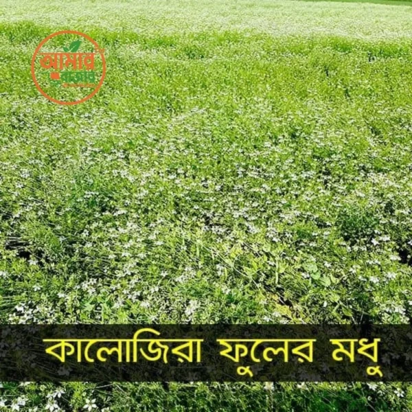 Blackseed Flower Honey(কালোজিরা ফুলের মধু)